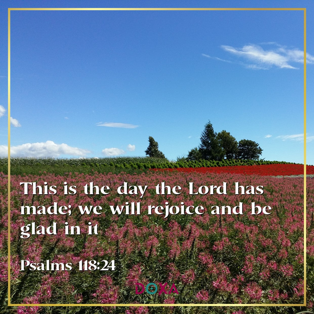 Psalms 118:24
