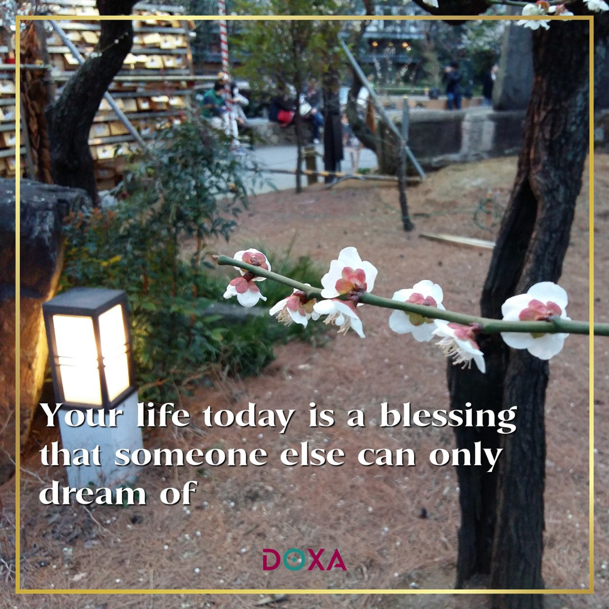 Your life today is a blessing that someone else can only dream of