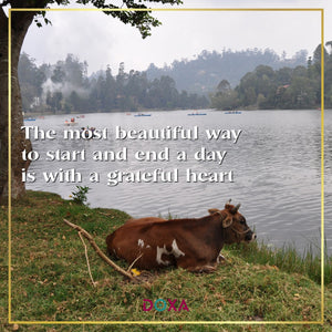 The most beautiful way to start and end a day is with a grateful heart