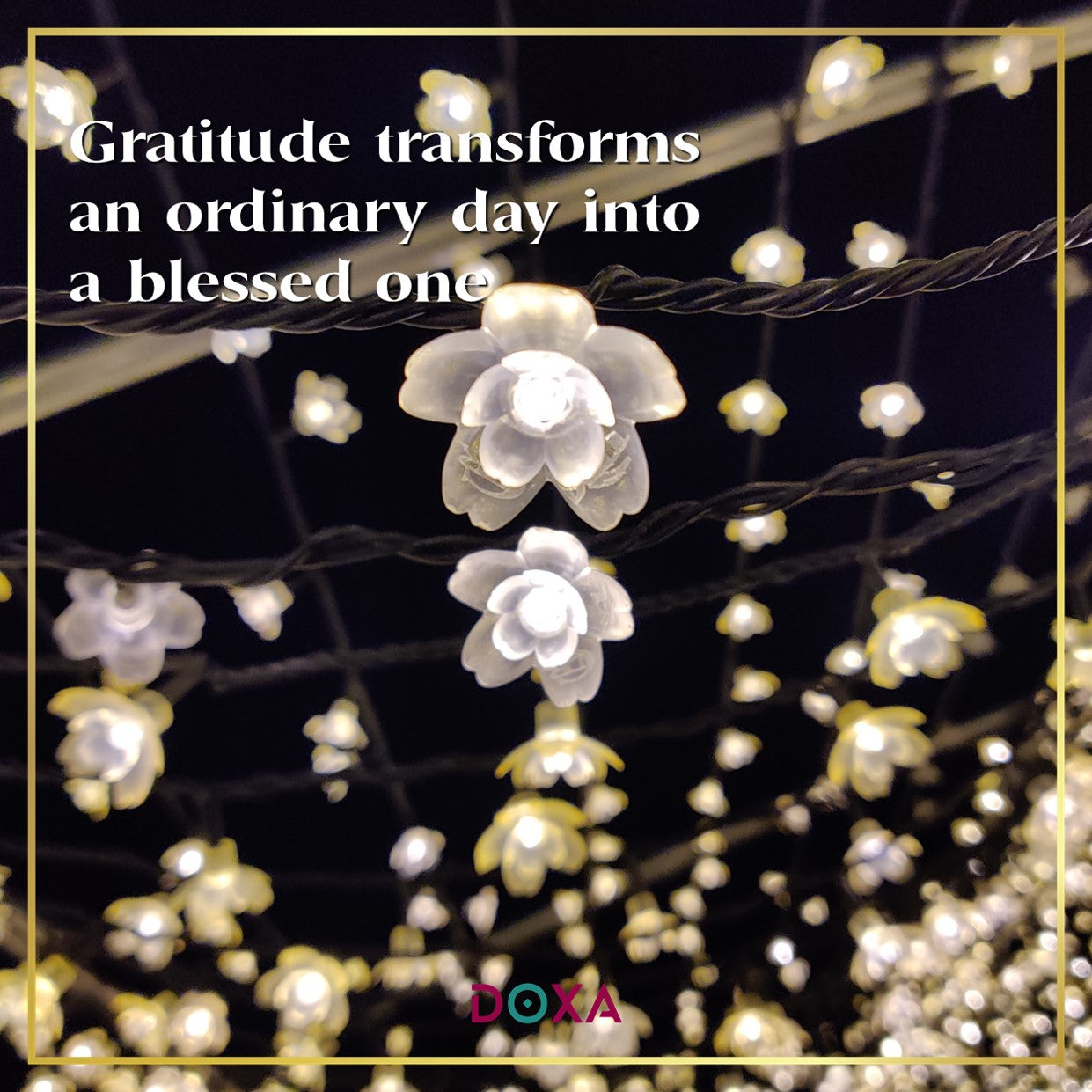 Gratitude transforms an ordinary day into a blessed one