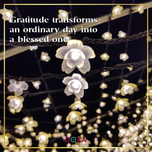 Gratitude transforms an ordinary day into a blessed one