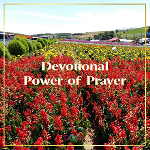 Devotional - Power of Prayer