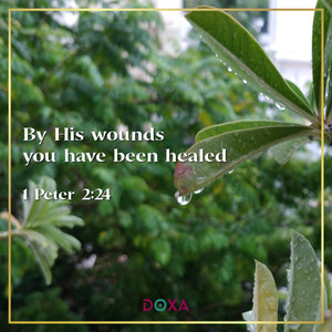 1 Peter 2:24