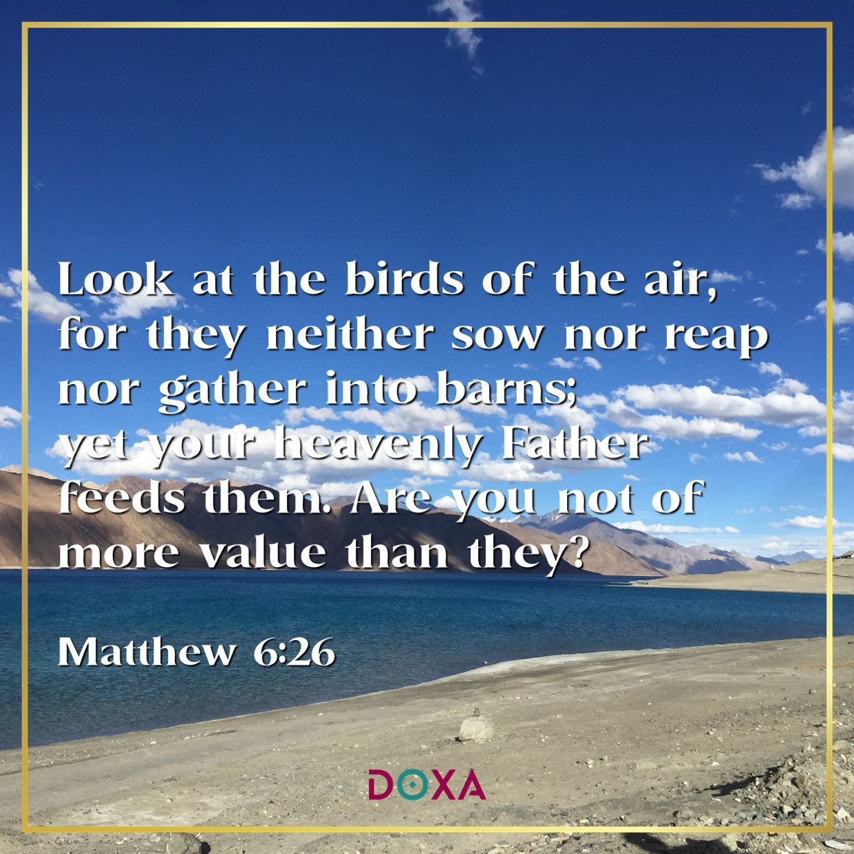 Matthew 6:26