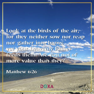 Matthew 6:26