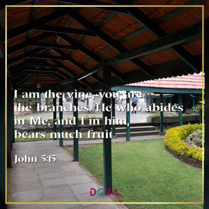 John 5:15