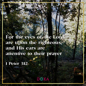 1 Peter 3:12